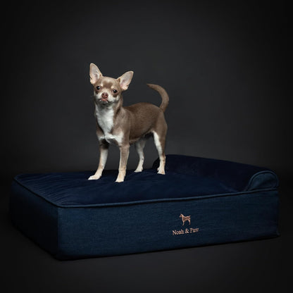 XL Dog Bed, 45x35x9.1 Inch, Orthopedic Large Dog Beds, Eggshell Memory Foam Infused with Cooling Gel, Water Resistant, Machine Washable, Includes Inner Cover