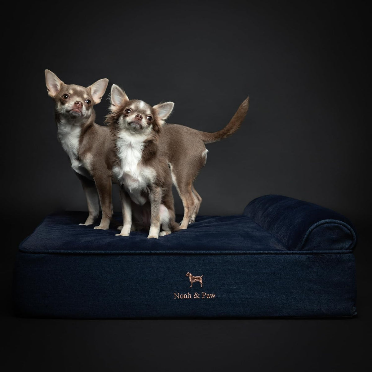 XL Dog Bed, 45x35x9.1 Inch, Orthopedic Large Dog Beds, Eggshell Memory Foam Infused with Cooling Gel, Water Resistant, Machine Washable, Includes Inner Cover