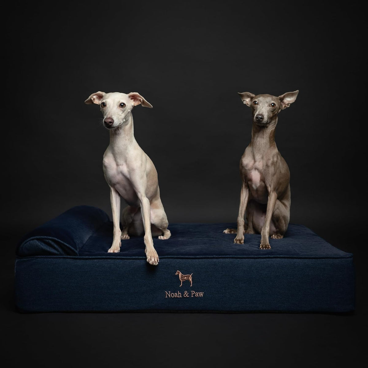 XL Dog Bed, 45x35x9.1 Inch, Orthopedic Large Dog Beds, Eggshell Memory Foam Infused with Cooling Gel, Water Resistant, Machine Washable, Includes Inner Cover