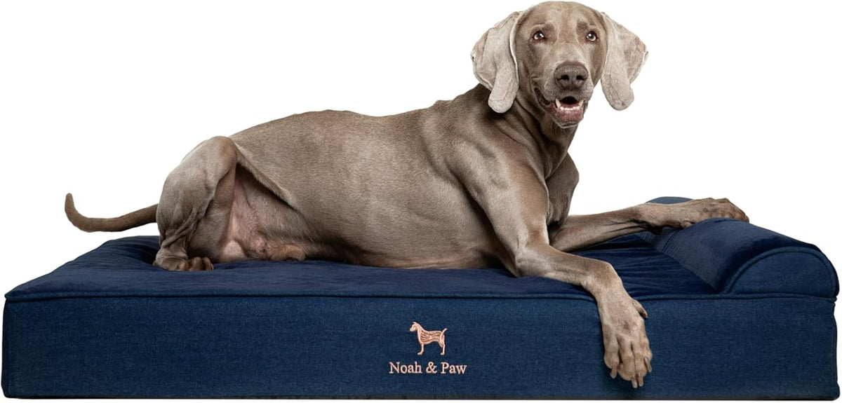 XL Dog Bed, 45x35x9.1 Inch, Orthopedic Large Dog Beds, Eggshell Memory Foam Infused with Cooling Gel, Water Resistant, Machine Washable, Includes Inner Cover