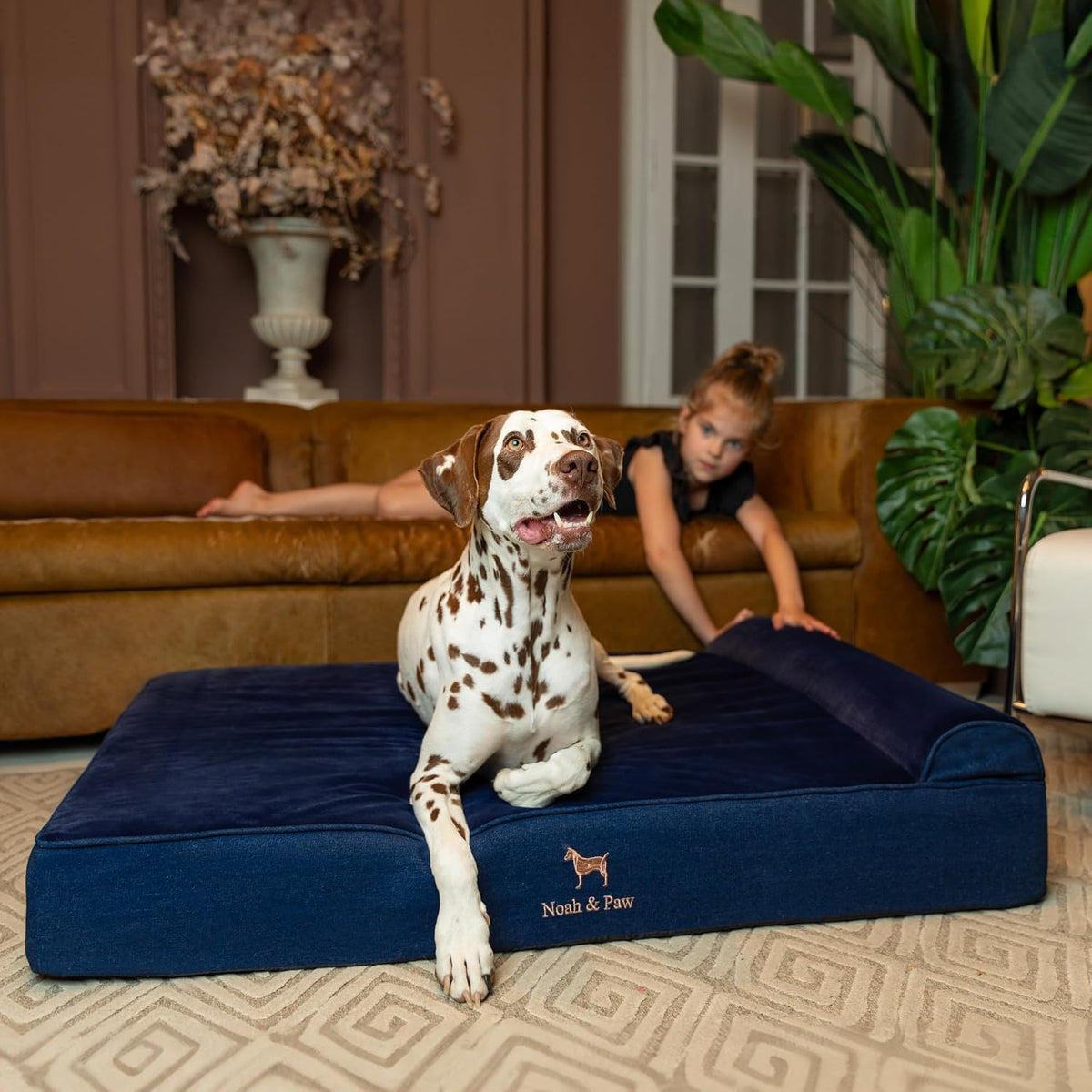XL Dog Bed, 45x35x9.1 Inch, Orthopedic Large Dog Beds, Eggshell Memory Foam Infused with Cooling Gel, Water Resistant, Machine Washable, Includes Inner Cover
