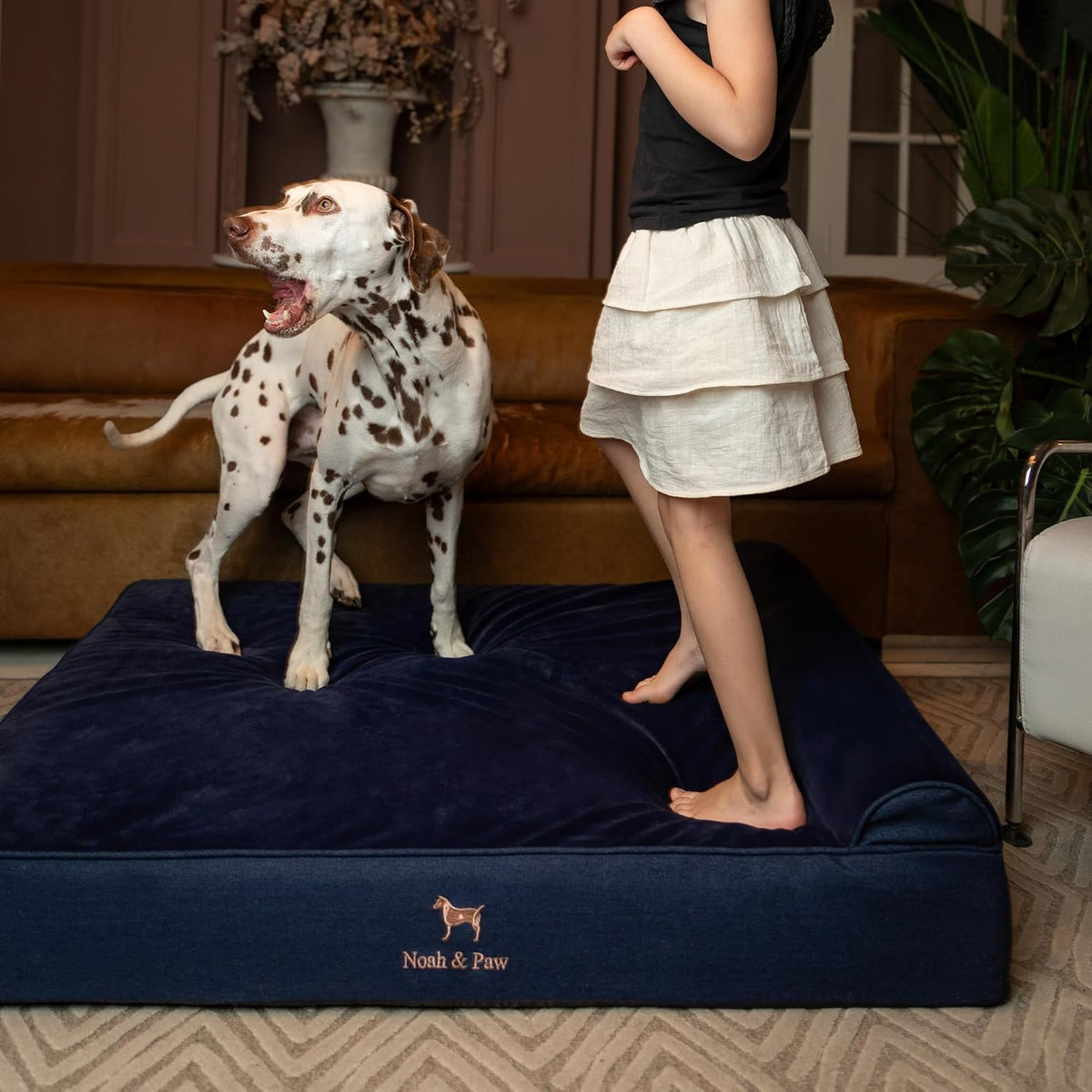 XL Dog Bed, 45x35x9.1 Inch, Orthopedic Large Dog Beds, Eggshell Memory Foam Infused with Cooling Gel, Water Resistant, Machine Washable, Includes Inner Cover
