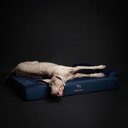XL Dog Bed, 45x35x9.1 Inch, Orthopedic Large Dog Beds, Eggshell Memory Foam Infused with Cooling Gel, Water Resistant, Machine Washable, Includes Inner Cover