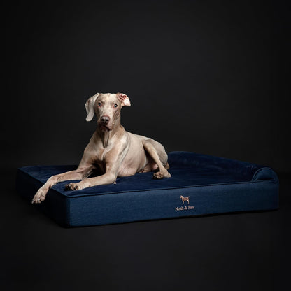 XL Dog Bed, 45x35x9.1 Inch, Orthopedic Large Dog Beds, Eggshell Memory Foam Infused with Cooling Gel, Water Resistant, Machine Washable, Includes Inner Cover