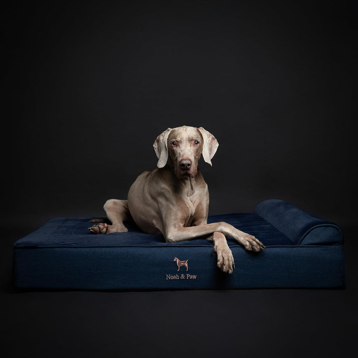 XL Dog Bed, 45x35x9.1 Inch, Orthopedic Large Dog Beds, Eggshell Memory Foam Infused with Cooling Gel, Water Resistant, Machine Washable, Includes Inner Cover