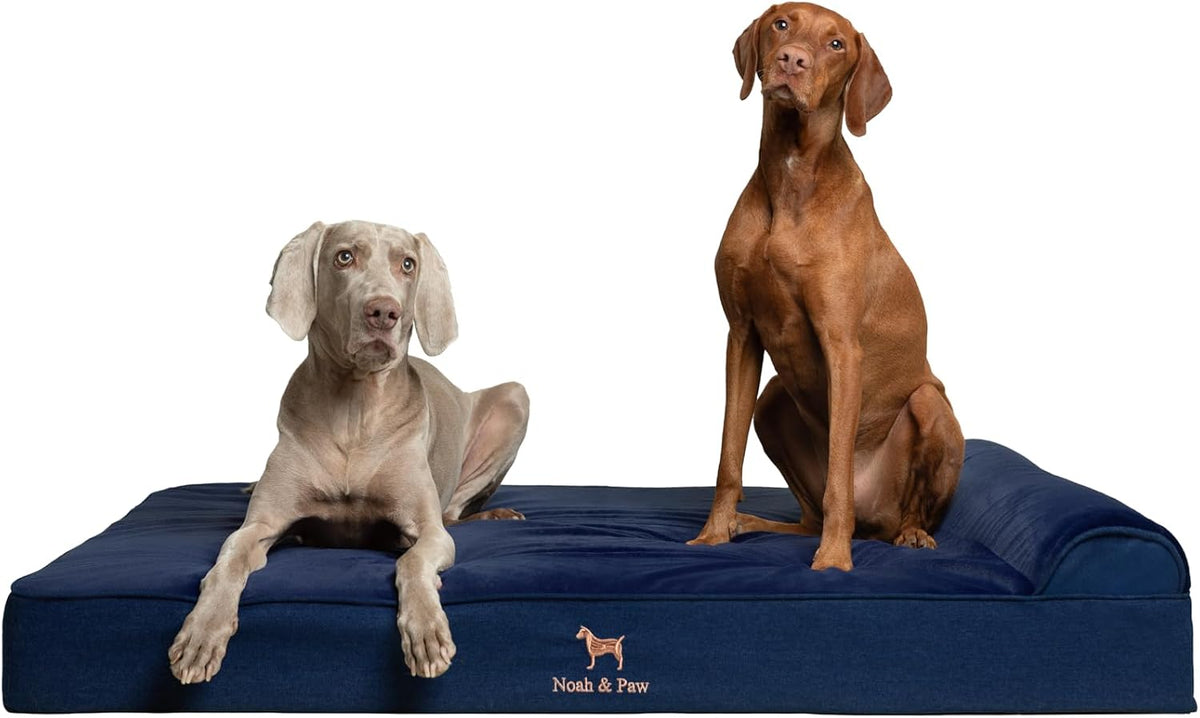 XL Dog Bed, 45x35x9.1 Inch, Orthopedic Large Dog Beds, Eggshell Memory Foam Infused with Cooling Gel, Water Resistant, Machine Washable, Includes Inner Cover