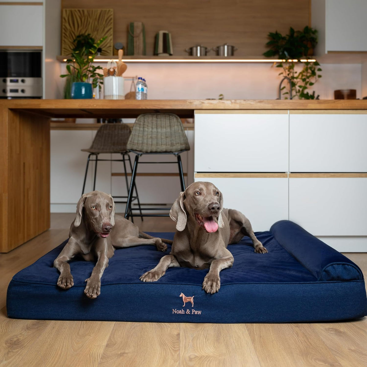 XL Dog Bed, 45x35x9.1 Inch, Orthopedic Large Dog Beds, Eggshell Memory Foam Infused with Cooling Gel, Water Resistant, Machine Washable, Includes Inner Cover