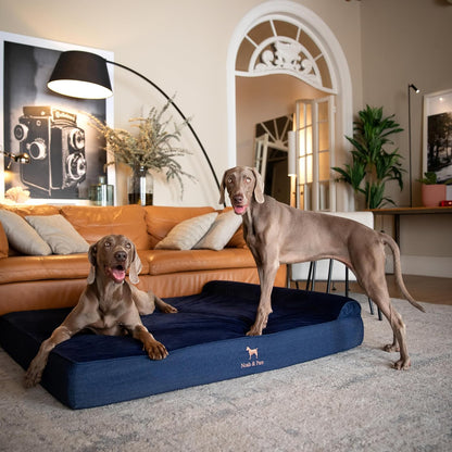 XL Dog Bed, 45x35x9.1 Inch, Orthopedic Large Dog Beds, Eggshell Memory Foam Infused with Cooling Gel, Water Resistant, Machine Washable, Includes Inner Cover