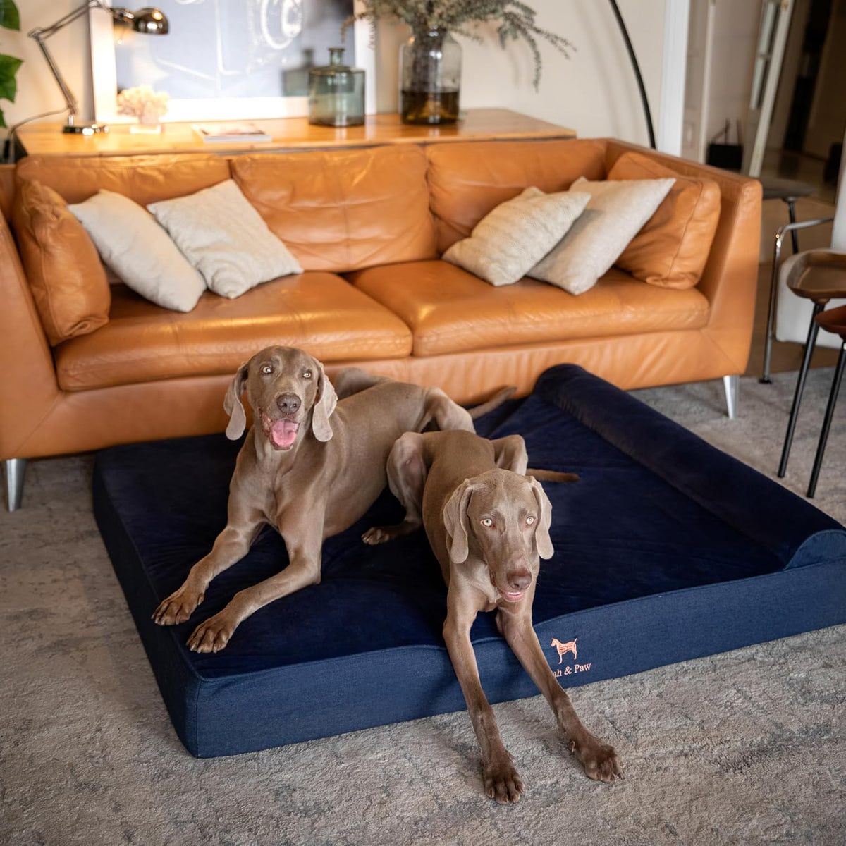 XL Dog Bed, 45x35x9.1 Inch, Orthopedic Large Dog Beds, Eggshell Memory Foam Infused with Cooling Gel, Water Resistant, Machine Washable, Includes Inner Cover