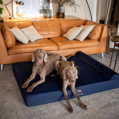 XL Dog Bed, 45x35x9.1 Inch, Orthopedic Large Dog Beds, Eggshell Memory Foam Infused with Cooling Gel, Water Resistant, Machine Washable, Includes Inner Cover