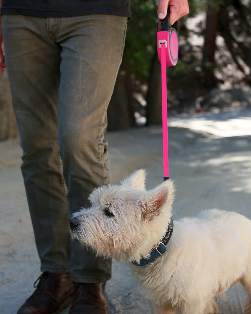 Retractable Dog Leash, One-Handed Brake, 16ft, Up to 44 lbs, Pink