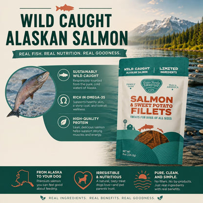 Salmon & Sweet Potato Fillets for Dogs – 8 oz, All-Natural Soft Chews, Wild-Caught Alaskan Salmon, Limited-Ingredient Dog Treats, Made in USA