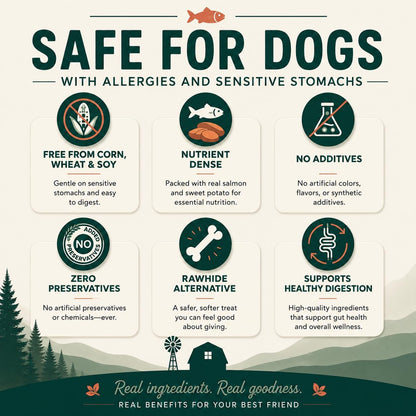 Salmon & Sweet Potato Fillets for Dogs – 8 oz, All-Natural Soft Chews, Wild-Caught Alaskan Salmon, Limited-Ingredient Dog Treats, Made in USA