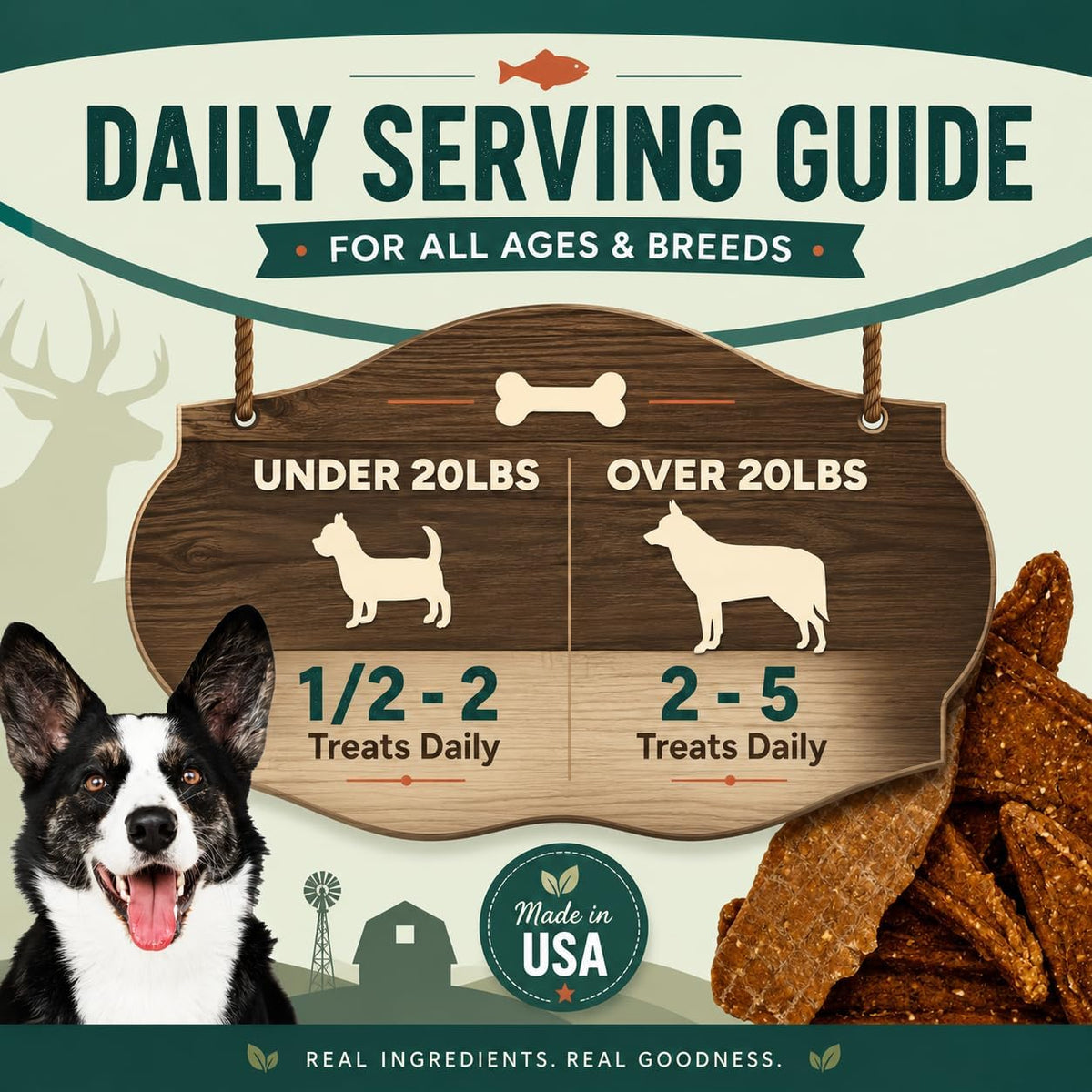 Salmon & Sweet Potato Fillets for Dogs – 8 oz, All-Natural Soft Chews, Wild-Caught Alaskan Salmon, Limited-Ingredient Dog Treats, Made in USA