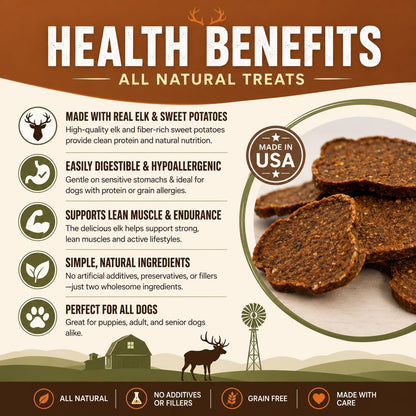 Salmon & Sweet Potato Fillets for Dogs – 8 oz, All-Natural Soft Chews, Wild-Caught Alaskan Salmon, Limited-Ingredient Dog Treats, Made in USA