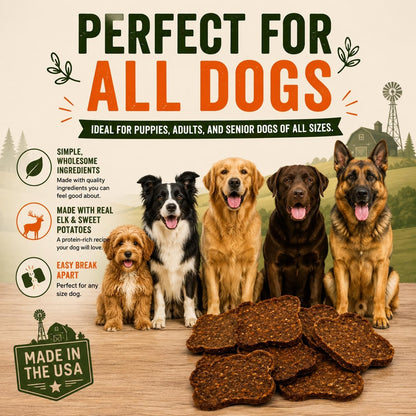 Salmon & Sweet Potato Fillets for Dogs – 8 oz, All-Natural Soft Chews, Wild-Caught Alaskan Salmon, Limited-Ingredient Dog Treats, Made in USA