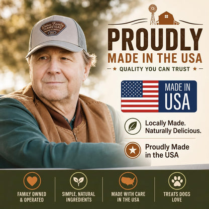 Salmon & Sweet Potato Fillets for Dogs – 8 oz, All-Natural Soft Chews, Wild-Caught Alaskan Salmon, Limited-Ingredient Dog Treats, Made in USA