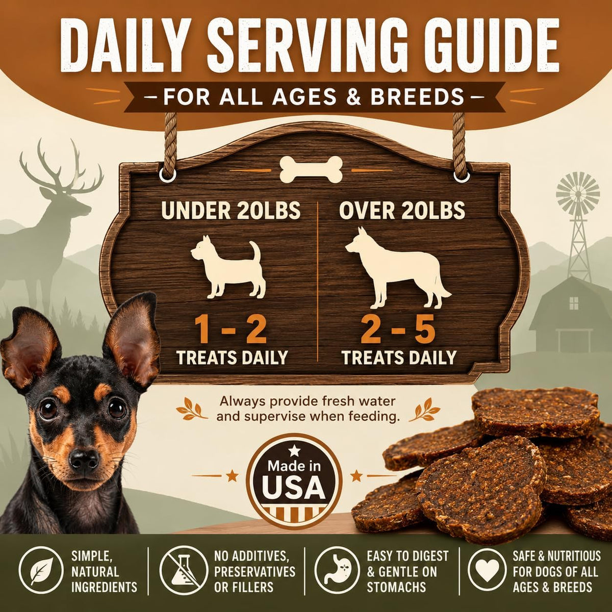 Salmon & Sweet Potato Fillets for Dogs – 8 oz, All-Natural Soft Chews, Wild-Caught Alaskan Salmon, Limited-Ingredient Dog Treats, Made in USA