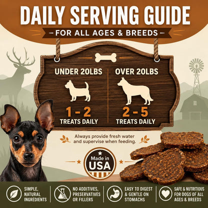 Salmon & Sweet Potato Fillets for Dogs – 8 oz, All-Natural Soft Chews, Wild-Caught Alaskan Salmon, Limited-Ingredient Dog Treats, Made in USA