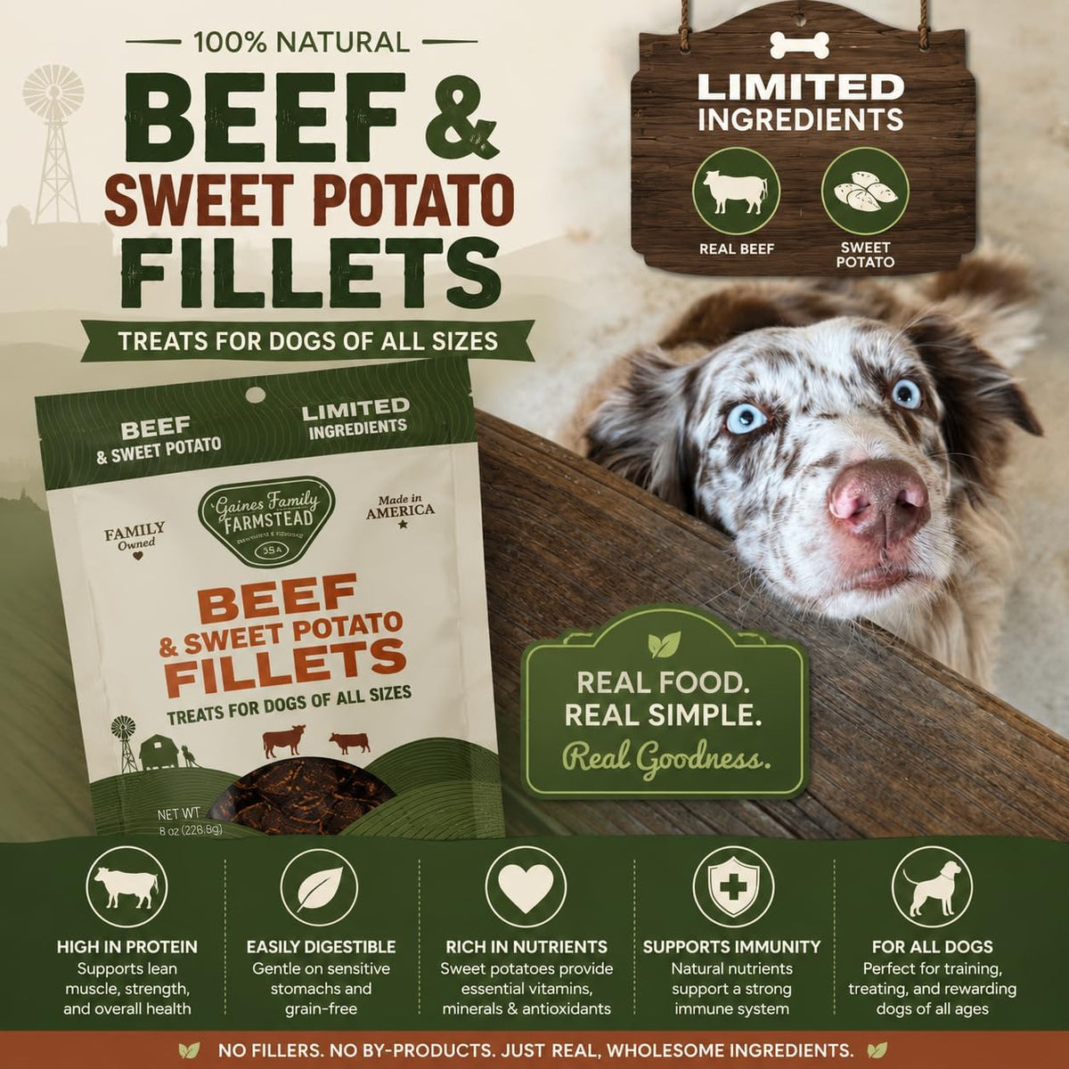 Salmon & Sweet Potato Fillets for Dogs – 8 oz, All-Natural Soft Chews, Wild-Caught Alaskan Salmon, Limited-Ingredient Dog Treats, Made in USA