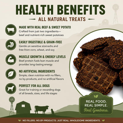 Salmon & Sweet Potato Fillets for Dogs – 8 oz, All-Natural Soft Chews, Wild-Caught Alaskan Salmon, Limited-Ingredient Dog Treats, Made in USA
