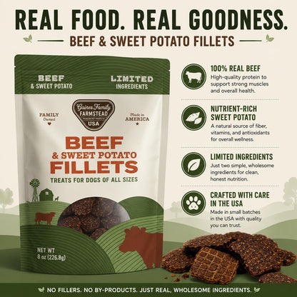 Salmon & Sweet Potato Fillets for Dogs – 8 oz, All-Natural Soft Chews, Wild-Caught Alaskan Salmon, Limited-Ingredient Dog Treats, Made in USA