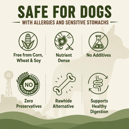 Salmon & Sweet Potato Fillets for Dogs – 8 oz, All-Natural Soft Chews, Wild-Caught Alaskan Salmon, Limited-Ingredient Dog Treats, Made in USA
