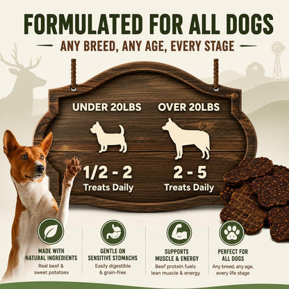 Salmon & Sweet Potato Fillets for Dogs – 8 oz, All-Natural Soft Chews, Wild-Caught Alaskan Salmon, Limited-Ingredient Dog Treats, Made in USA