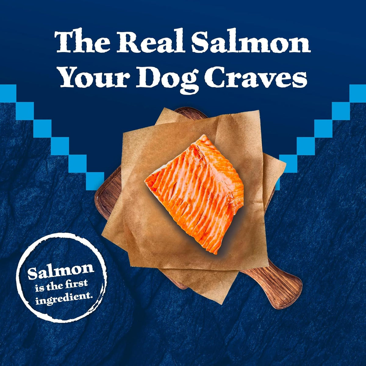 Blue Buffalo Wilderness Salmon & Wholesome Grains Senior Dry Dog Food 4.5lb