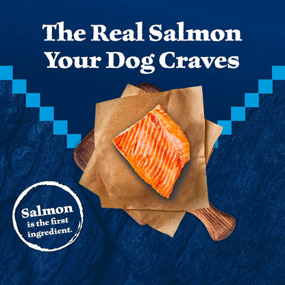 Blue Buffalo Wilderness Salmon & Wholesome Grains Senior Dry Dog Food 4.5lb