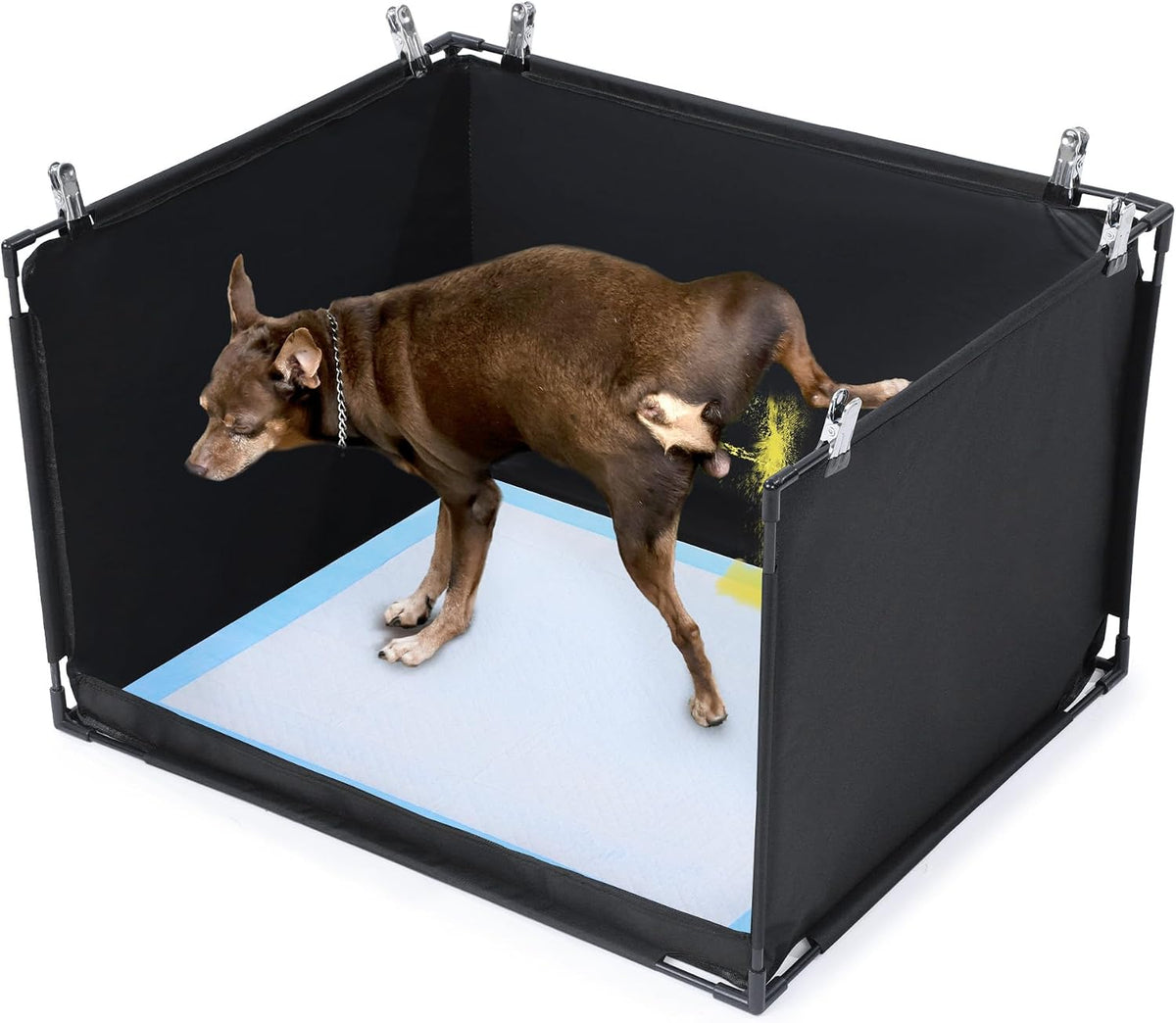 Dog Pee Pad Holder with High Walls, No-Spill Indoor Potty for Large Dogs, Foldable Puppy Litter Box, Patent Pending (33.8" L x 28" W x 17.7" H)