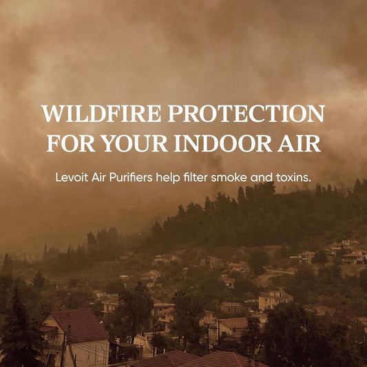 Air Purifier for Home Pets Hair Allergens in Bedroom Quiet Purifiers