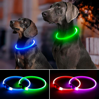 Light Up Dog Collar 2-Pack, USB Rechargeable for Small to Large Dogs