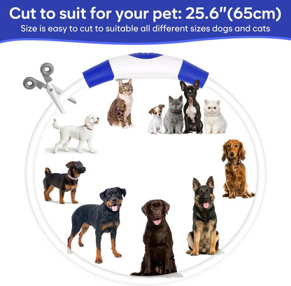 Light Up Dog Collar 2-Pack, USB Rechargeable for Small to Large Dogs