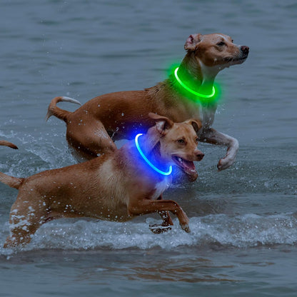 Light Up Dog Collar 2-Pack, USB Rechargeable for Small to Large Dogs