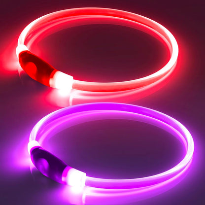 Light Up Dog Collar 2-Pack, USB Rechargeable for Small to Large Dogs