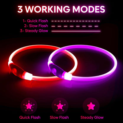 Light Up Dog Collar 2-Pack, USB Rechargeable for Small to Large Dogs