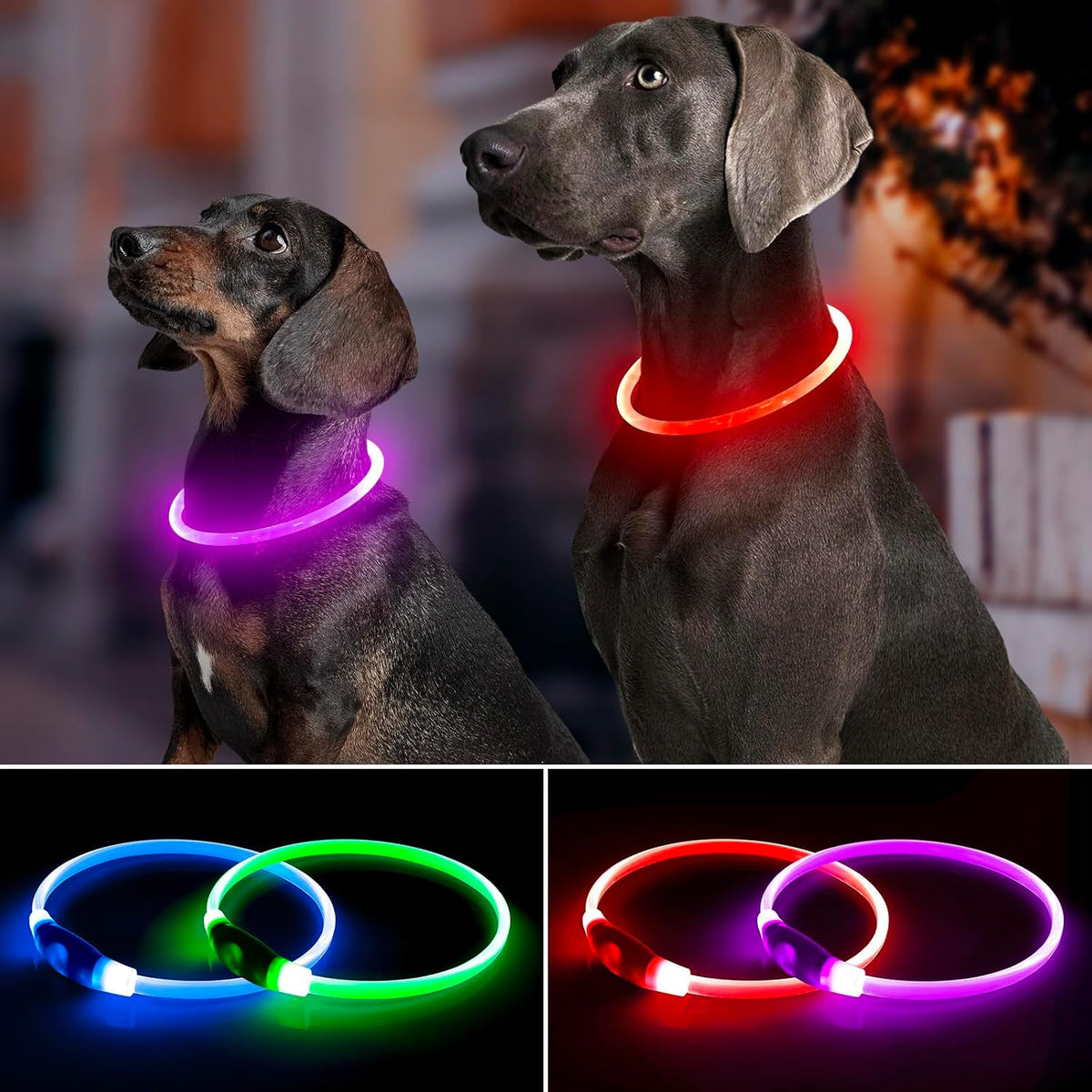 Light Up Dog Collar 2-Pack, USB Rechargeable for Small to Large Dogs