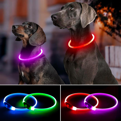 Light Up Dog Collar 2-Pack, USB Rechargeable for Small to Large Dogs