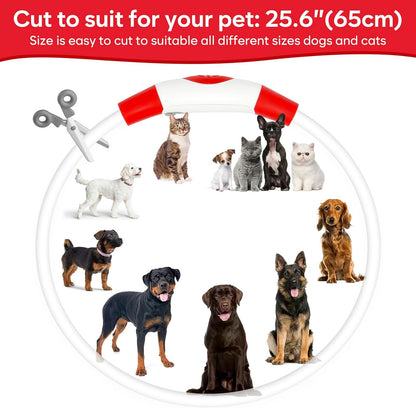 Light Up Dog Collar 2-Pack, USB Rechargeable for Small to Large Dogs