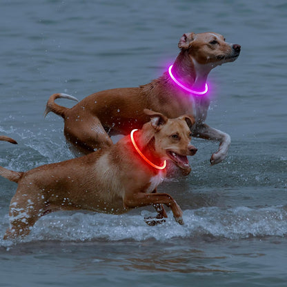Light Up Dog Collar 2-Pack, USB Rechargeable for Small to Large Dogs