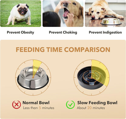 Raised Slow Feeder Dog Bowls, Elevated Dog Bowls Slow Feeder Set