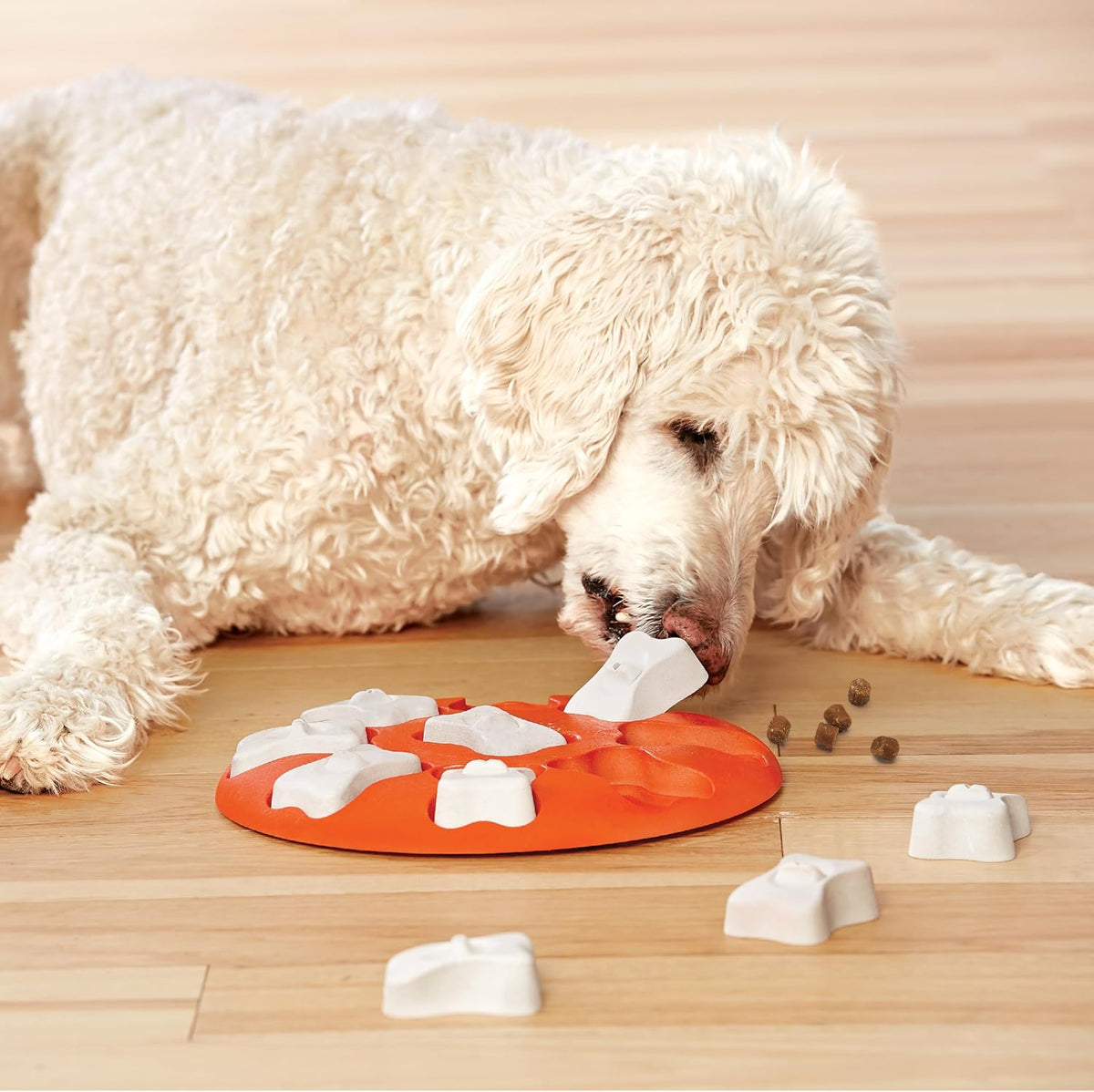 Nina Ottosson Dog Treat Maze Dog Toy, Tap & Flip, 7.5"