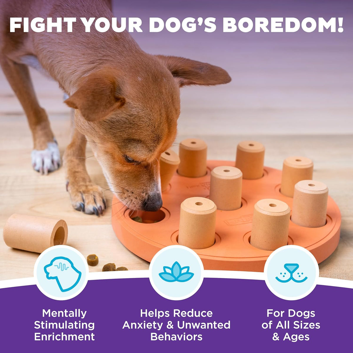 Nina Ottosson Dog Treat Maze Dog Toy, Tap & Flip, 7.5"