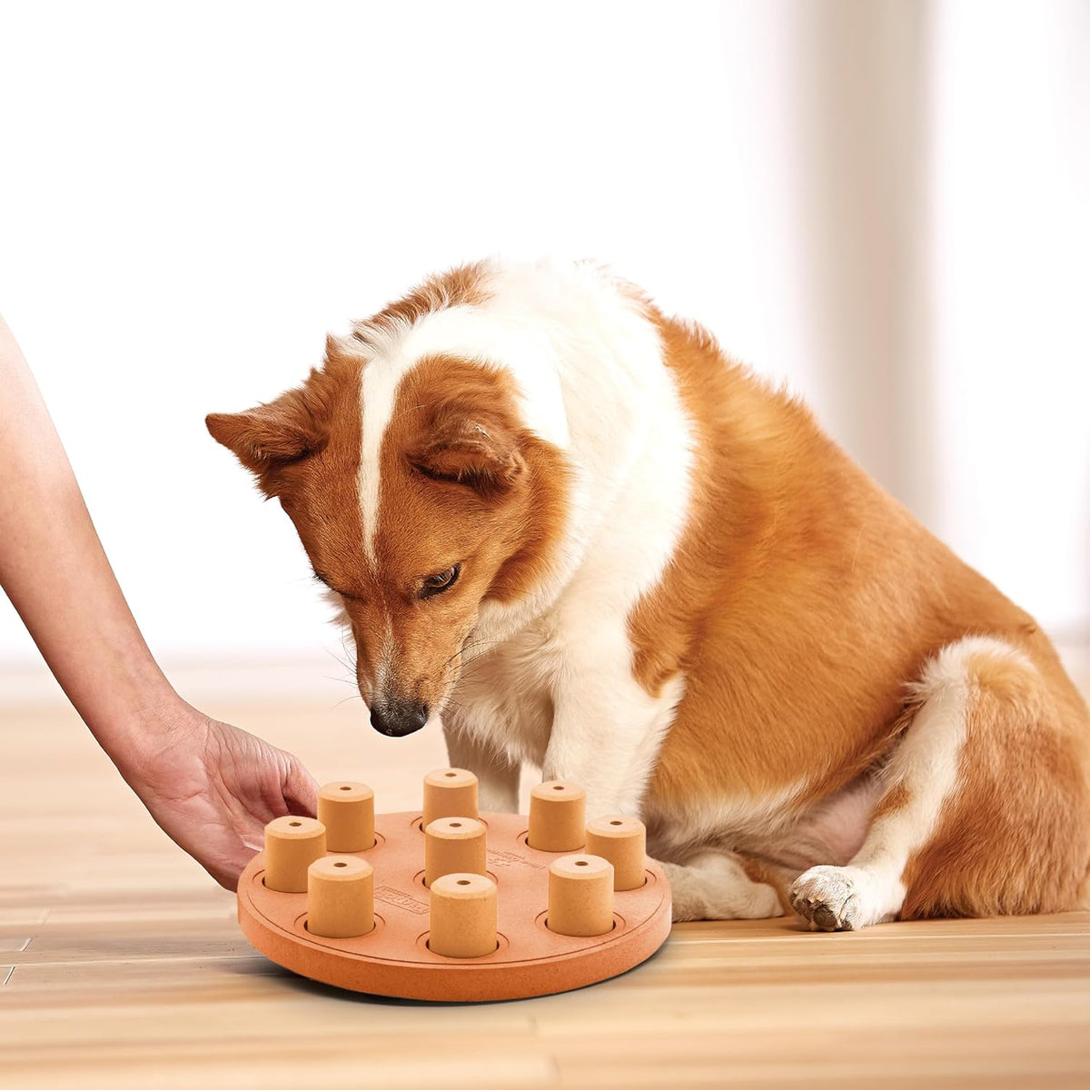 Nina Ottosson Dog Treat Maze Dog Toy, Tap & Flip, 7.5"