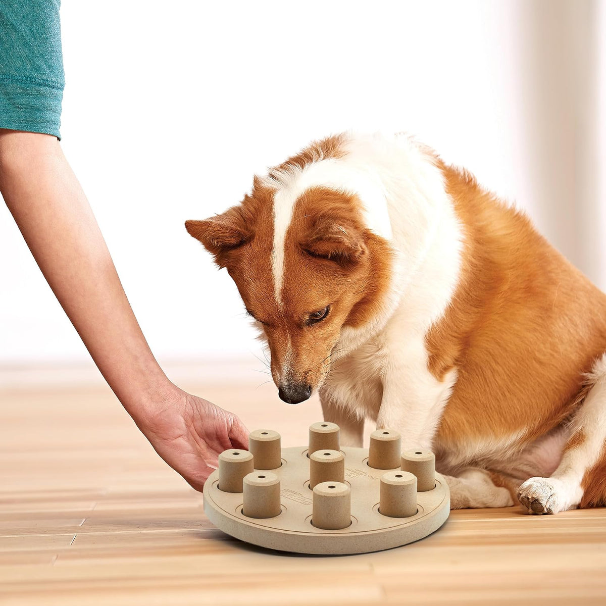 Nina Ottosson Dog Treat Maze Dog Toy, Tap & Flip, 7.5"
