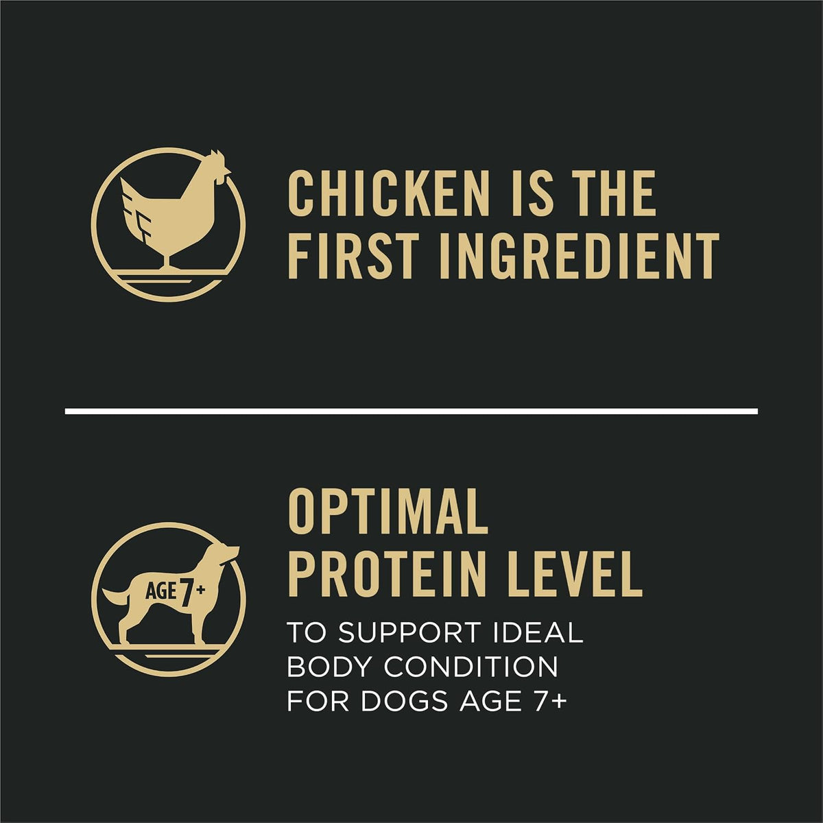 Complete Essentials Senior Dry Dog Food, Chicken, 6 lb Bag