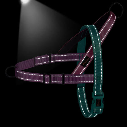 No Pull Dog Harness for Medium Dogs, Soft Padded Handle, Dark Green,M