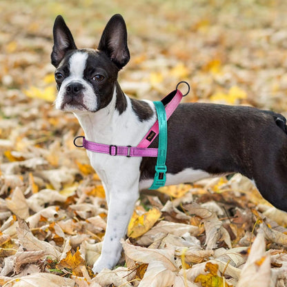 No Pull Dog Harness for Medium Dogs, Soft Padded Handle, Dark Green,M