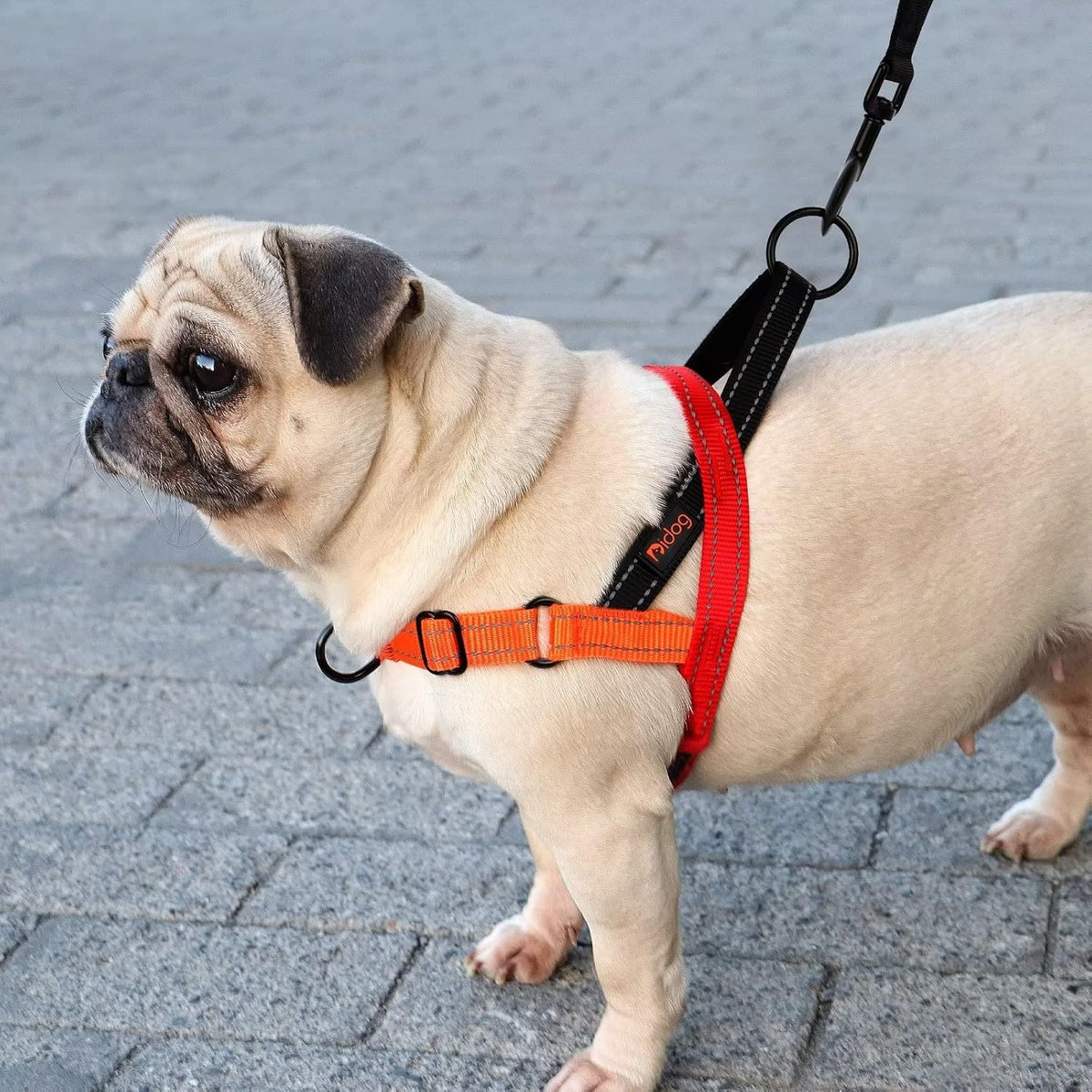 No Pull Dog Harness for Medium Dogs, Soft Padded Handle, Dark Green,M